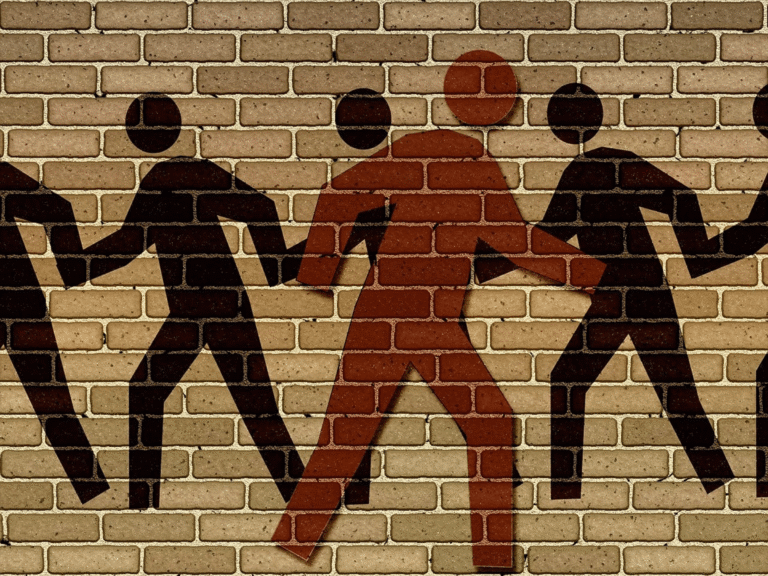 From avoider to challenger: How individuals respond when faced with misinformation