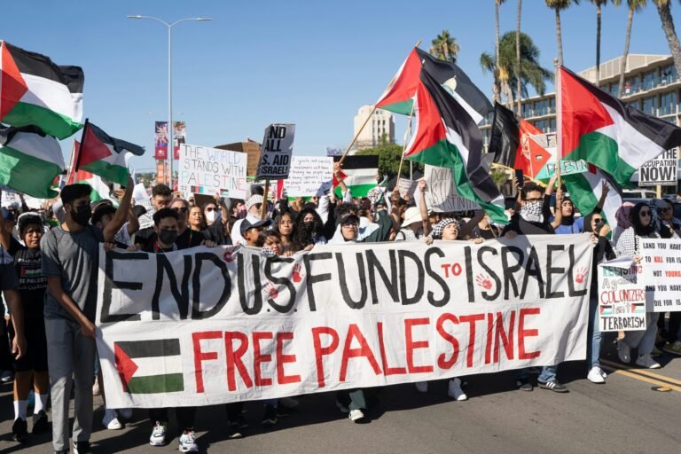 Pro-Palestine Academics Have Been Fighting the New McCarthyism