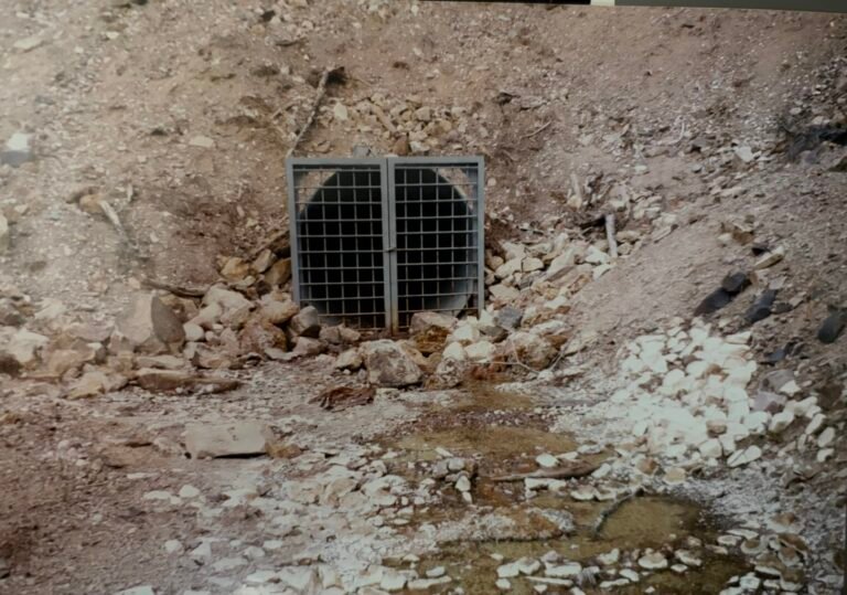 Corrupt Mining Decisions Yield Public Health Dangers