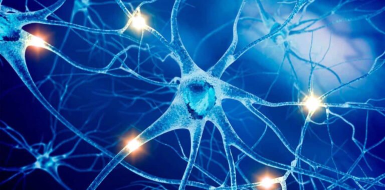 Do Cells Have Intelligence? This Respected Scientist Says We Are ‘Oblivious to All Kinds of Minds Not Like Ours’