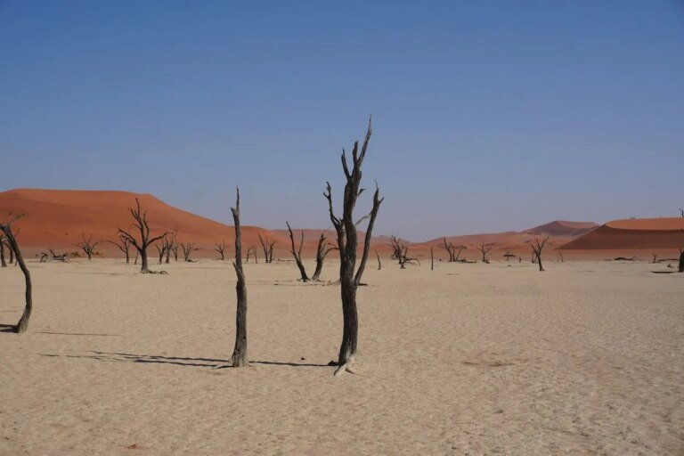 World will Exceed 1.5º C., Bringing Catastrophes and Unknowable Risks