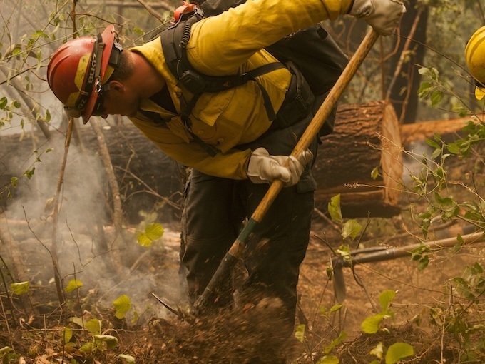 Trump Dementia: Transferring National Park Firefighters to Beautify DC for His Birthday