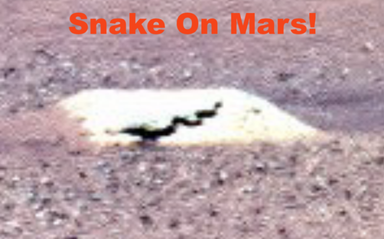Snake Found On Mars In NASA Rover Photo, Sept 1, 2026, UFO Sighting News.