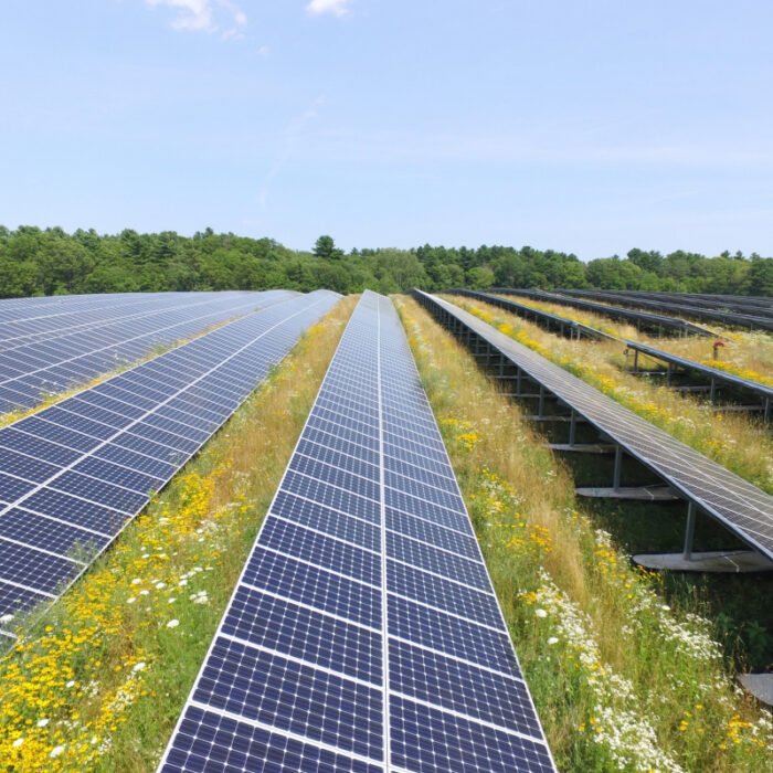 Solar Is Booming – NeuroLogica Blog